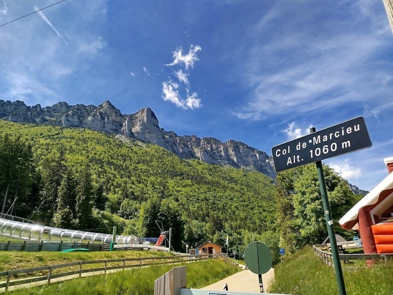 Chartreuse